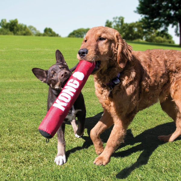 Jouet pour chien KONG Signature Stick