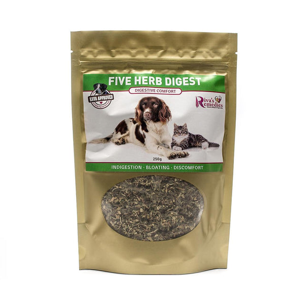 Riva's Remedies Five Herb Digest Liquide homéopathique pour chiens et chats