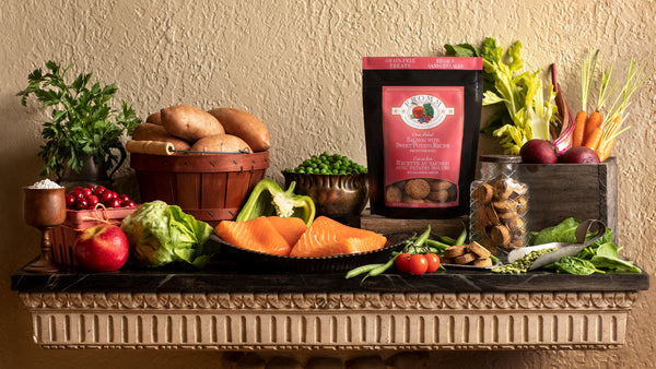 Fromm Four-Star Nutritionals Salmon with Sweet Potato Dog Treats