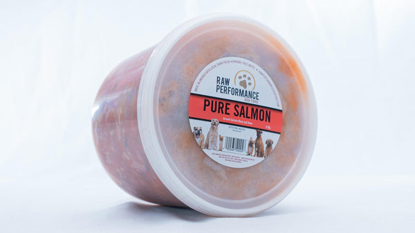 Raw Performance Pure Salmon Dog Food