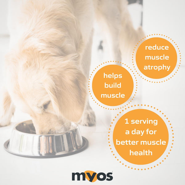 MYOS Canine Muscle Formula Dog Supplement