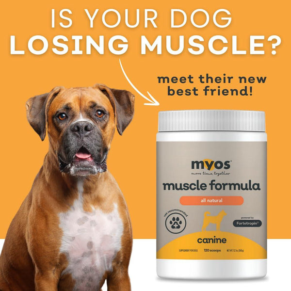 MYOS Canine Muscle Formula Dog Supplement