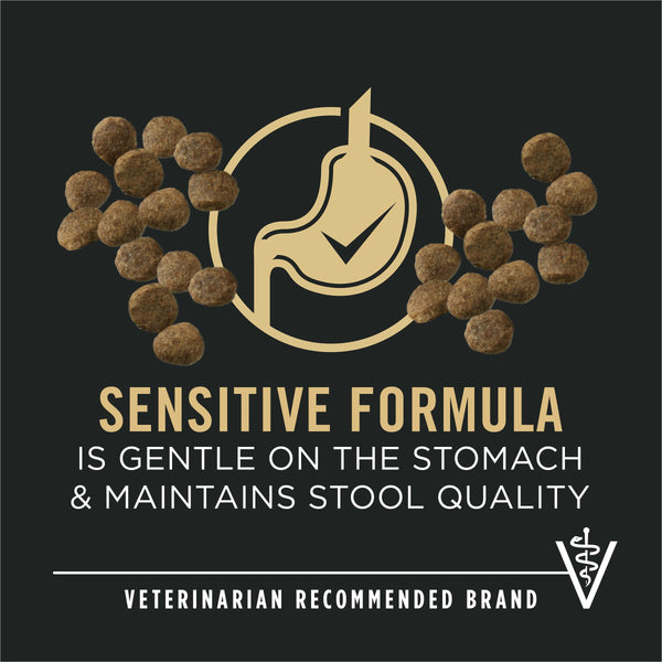 Purina Pro Plan Sensitive Skin & Stomach Salmon & Rice Puppy Dry Dog Food