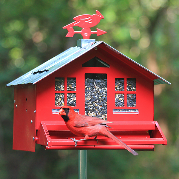 Perky-Pet Squirrel-Be-Gone Feeder Country Red