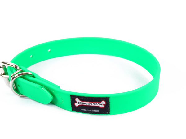 Smoochy Poochy Polyvinyl Waterproof Dog Collar, Apple