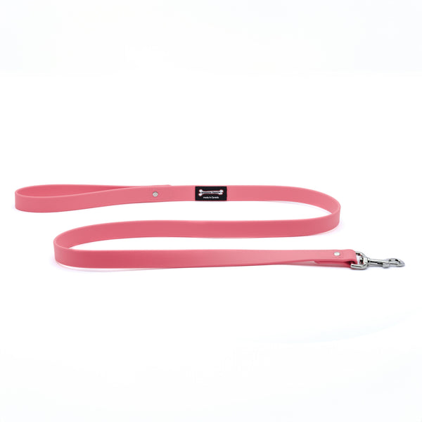 Smoochy Poochy Polyvinyl Waterproof Regular Style Dog Leash, Hot Pink, 1-in x 5-ft