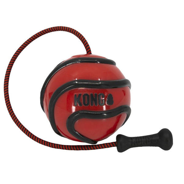 KONG Wavz Bunji Ball Dog Toy