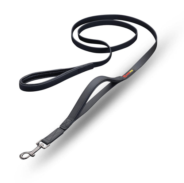 smellydogz Double Handle Dog Leash, Black