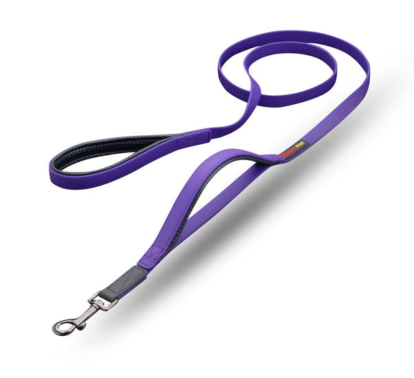 smellydogz Double Handle Dog Leash, Purple
