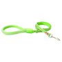 Wigzi Laisse pour chien imperméable, Vert