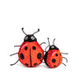 fabdog Faball Jouet pour chien Coccinelle