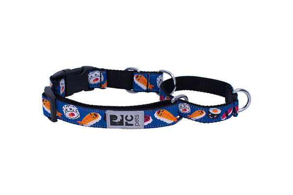 RC Pets Easy Clip Web Training Dog Collar, Sushi