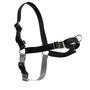 Harnais pour chien PetSafe Easy Walk