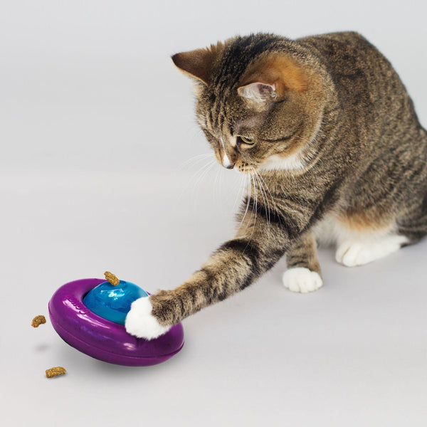 KONG Infused Gyro Cat Toy