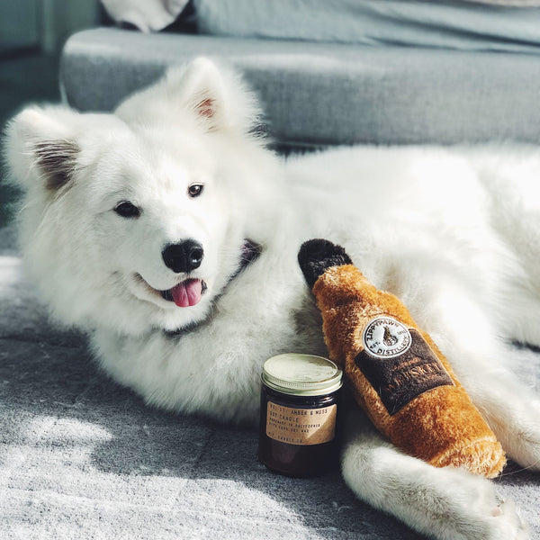 ZippyPaws Jouet pour chien Chrusherz, Whiskey
