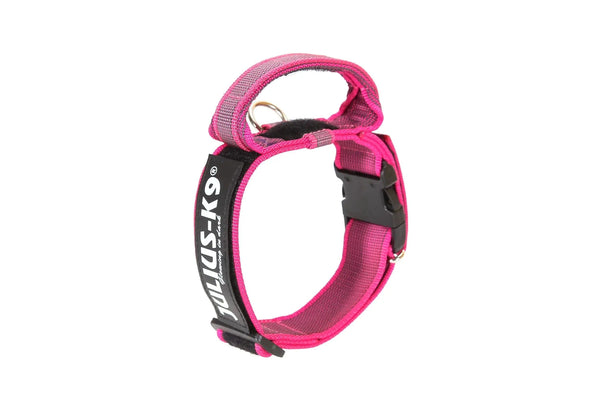 Julius-K9 Color & Gray Collar with Handle, Safety Lock & Interchangeable for Dogs, Pink