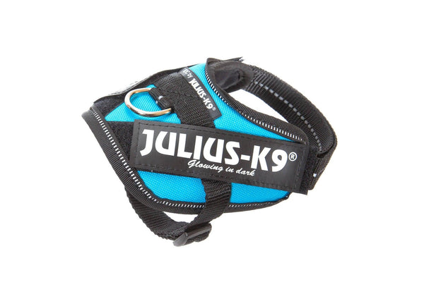 Julius-K9 IDC Powerharness Dog Harness, Aquamarine