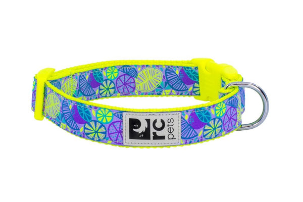 RC Pets Clip Dog Collar, Citrus