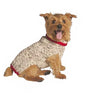 Chilly Dog Oatmeal Cable Knit Dog Sweater