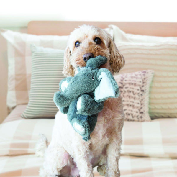 KONG Comfort Kiddos Elephant Dog Toy