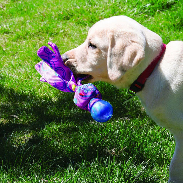 KONG Wubba Cosmos Dog Toy, Assorted Colors