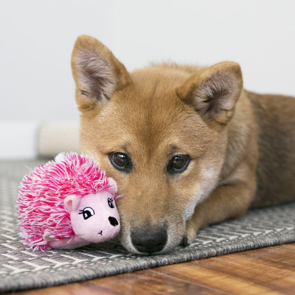 KONG Comfort HedgeHug Puppy Dog Toy, Color Varies