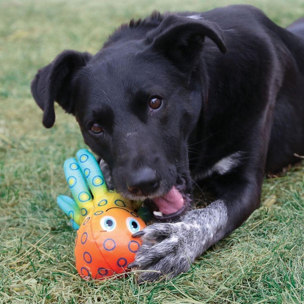 Jouet pour chien KONG Shieldz Tropics Pieuvre