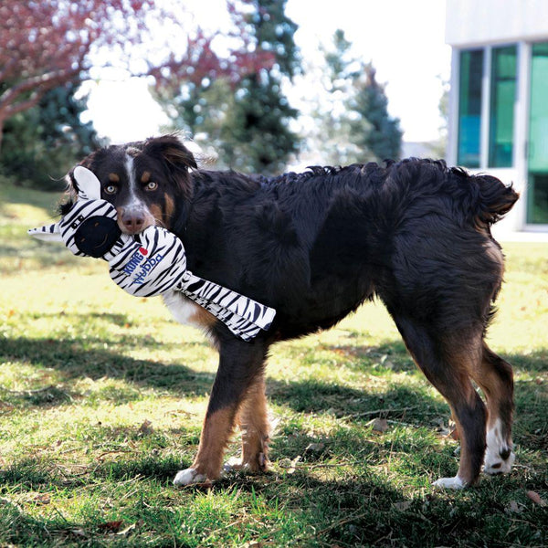 KONG Wubba No Stuff Zebra Dog Toy