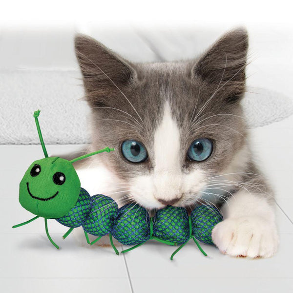 KONG Nibble Critter Catnipillar Cat Toy, Assorted