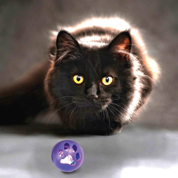 Ethical Pet Kitty LED Balls Cat Toy