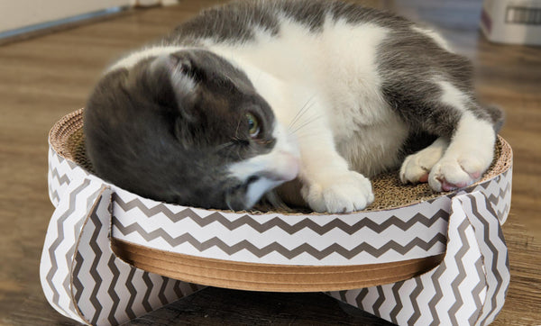 Ethical Pet Nest Scratcher Cat Toy
