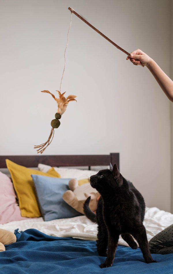 Ethical Pet Silver Vine Teaser Wand Cat Toy, Assorted
