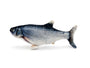Royal Pet Poisson Mou Jouet interactif pour Chat