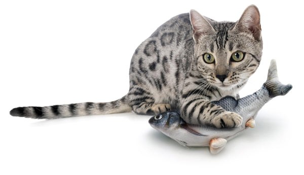 Royal Pet Floppy Fish Interactive Cat Toy