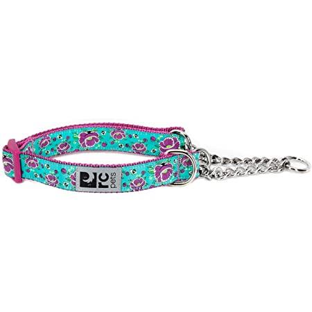 RC Pets Collier d'Entraînement pour Chien, All the Buzz