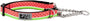 RC Pets Collier d'entraînement pour chien, Pastèque