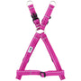 RC Pets Harnais Step In de base, Mûre