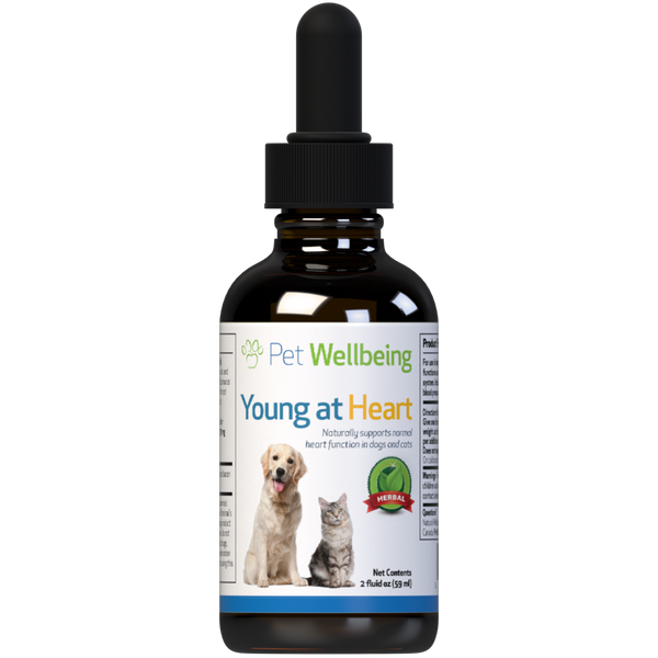 Pet Wellbeing Young At Heart