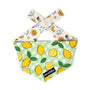 Bcuddly Bandana, Citrons