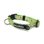 Bcuddly Collier pour chien, Citrons