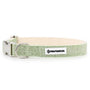 Pawtanical Collier pour chien, Vert clair