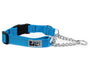RC Pets Primary Training Clip Dog Collar, Cyan