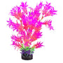 Marina iGlo Plante d'aquarium Whisteria, Rose/Orange