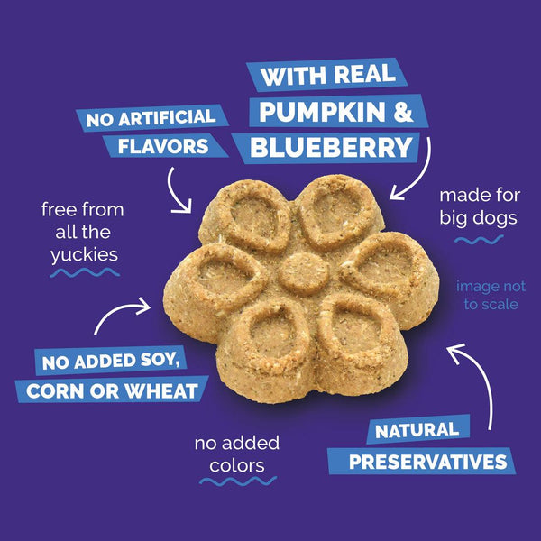Fruitables Biggies Pumpkin & Blueberry Dog Treats