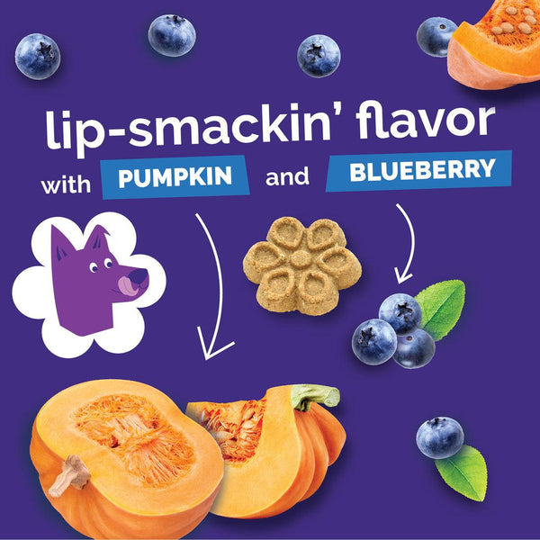 Fruitables Biggies Pumpkin & Blueberry Dog Treats