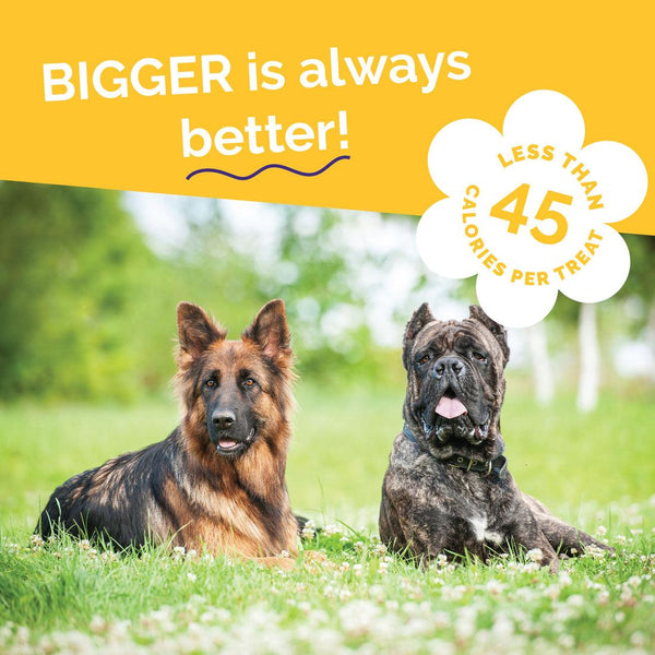 Fruitables Biggies Peanut Butter & Banana Dog Treats