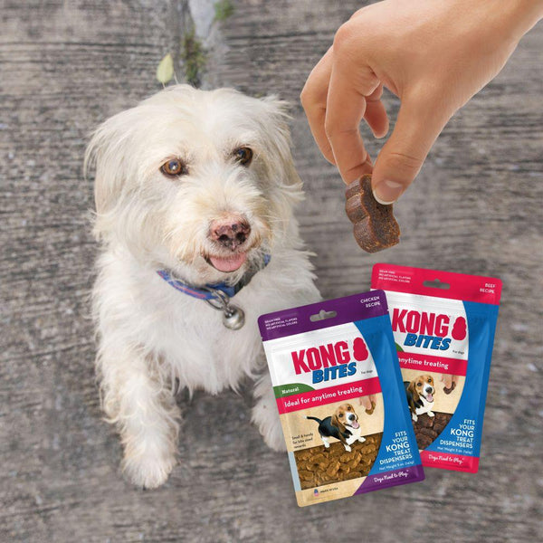 Gâteries pour chiens KONG Bites au poulet