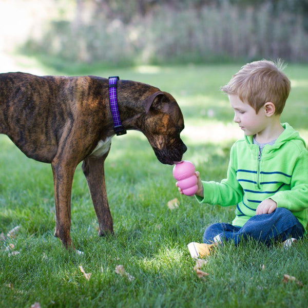 KONG Easy Treat To Go Puppy Dog Treats