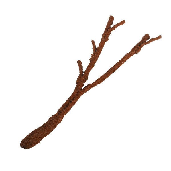 Komodo Branche de liane tropicale pour terrariums