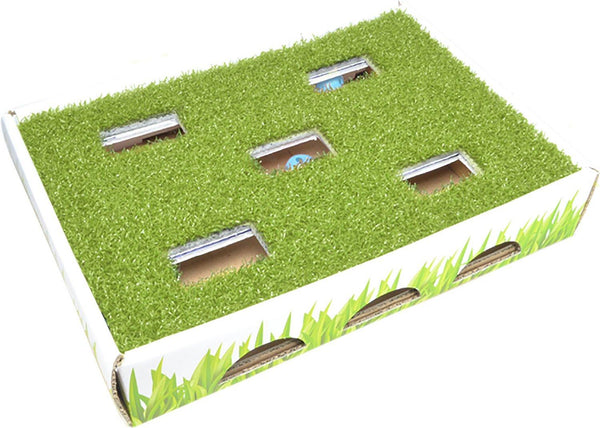 Petstages Grass Patch Hunting Box Scratcher Cat Toy
